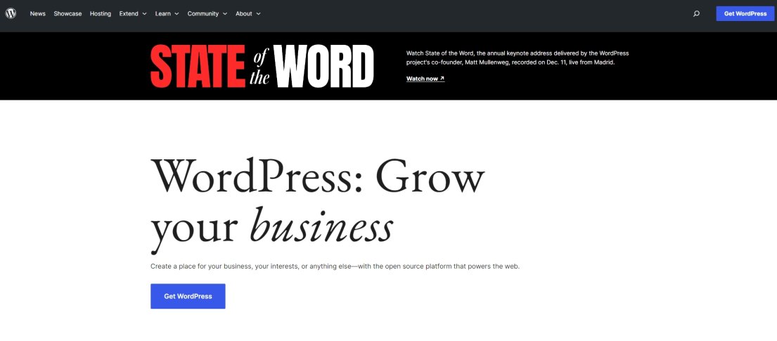 wordpress-website